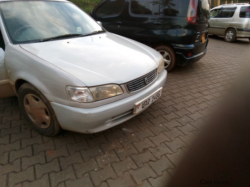 toyota collora 110 in uganda