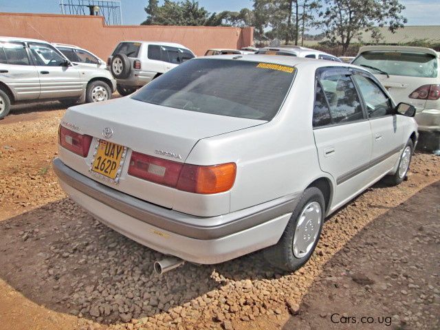 Toyota premio 1996