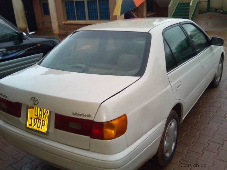 Toyota premio 1996