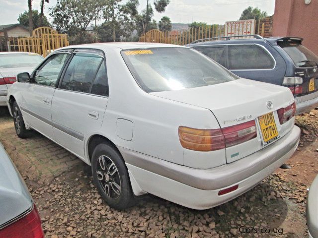 Used Toyota Premio | 1998 Premio for sale | Toyota Premio sales ...