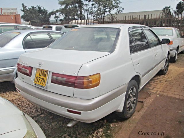 Toyota premio 1998