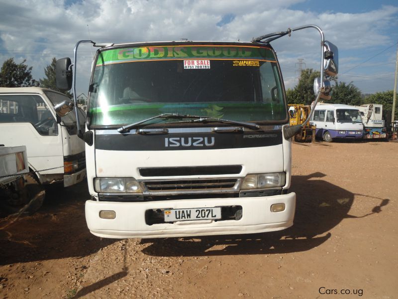 Isuzu forward стекло