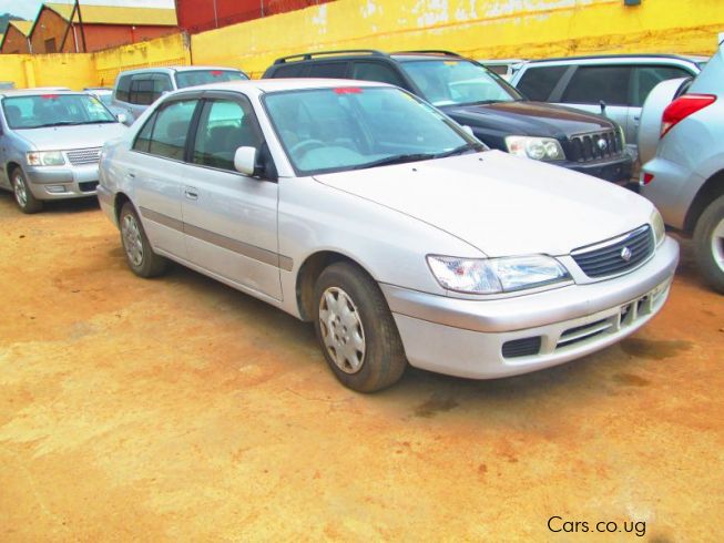 Toyota premio 2000