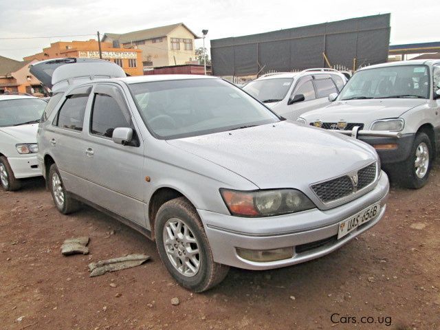 Toyota vista бегемот