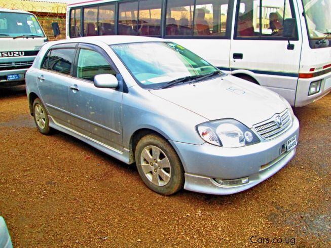 Toyota allex 2002