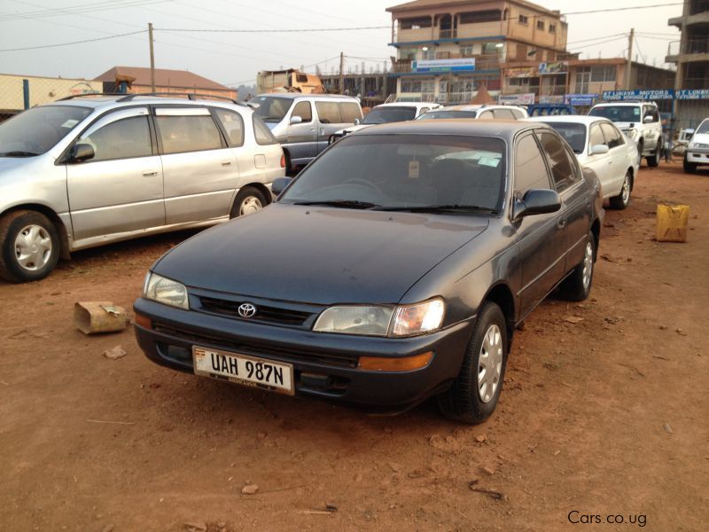 Toyota cars for sale in uganda