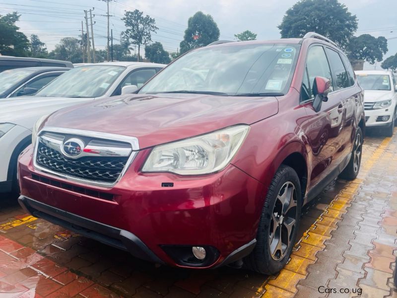 Subaru Forester in Uganda