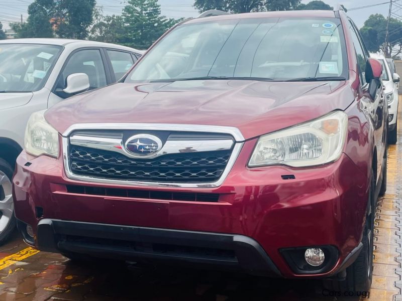 Subaru Forester in Uganda