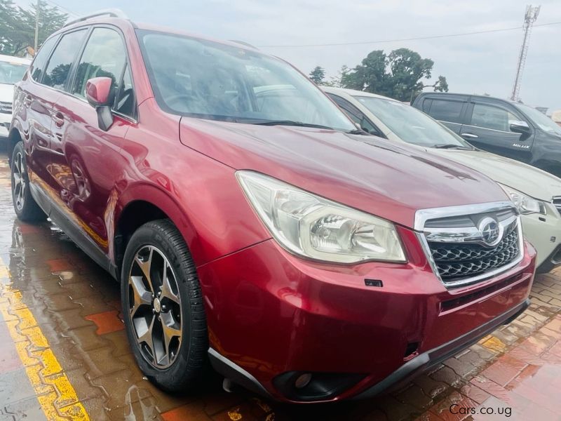 Subaru Forester in Uganda