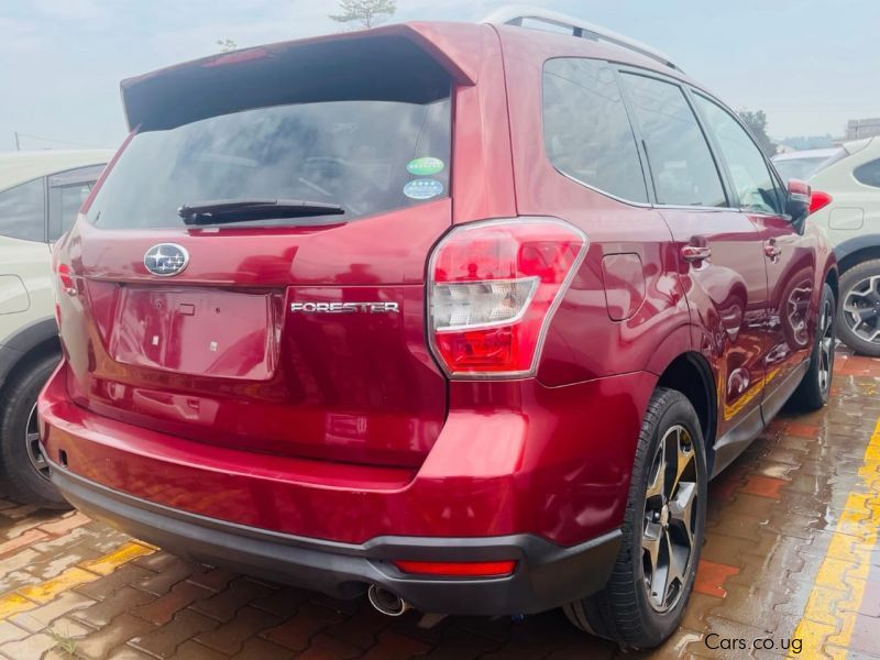 Subaru Forester in Uganda