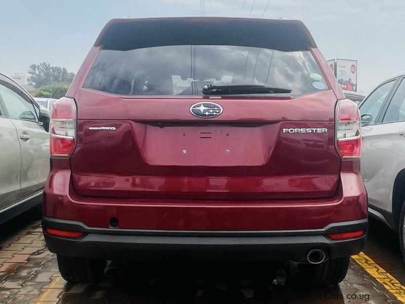 Subaru Forester in Uganda