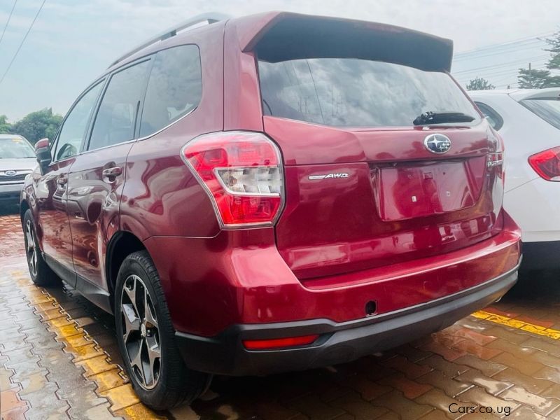 Subaru Forester in Uganda