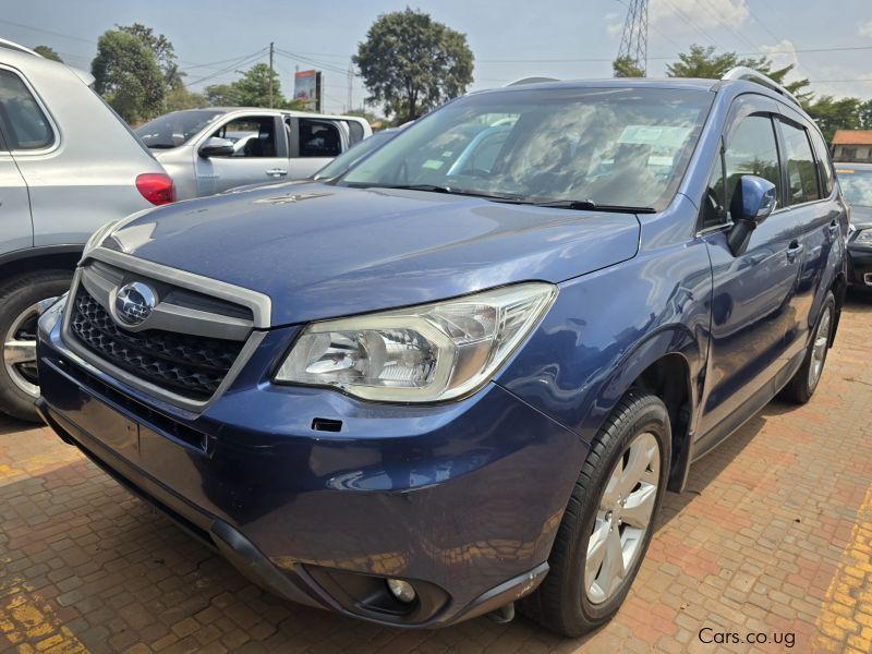 Subaru Forester in Uganda