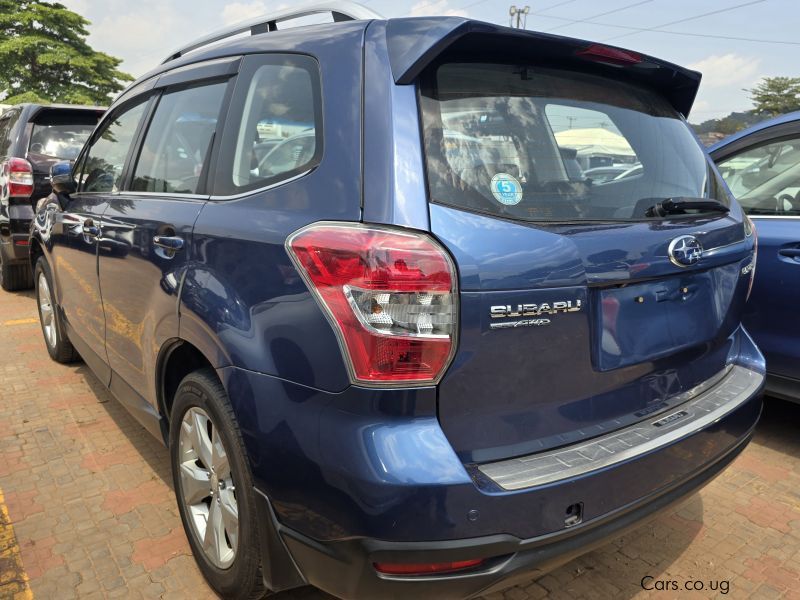 Subaru Forester in Uganda