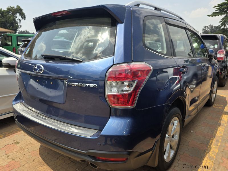 Subaru Forester in Uganda