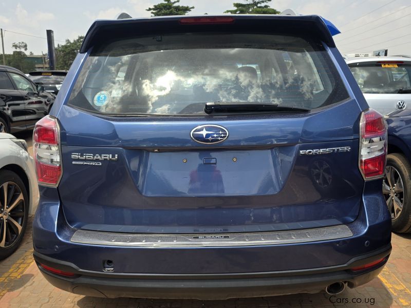 Subaru Forester in Uganda