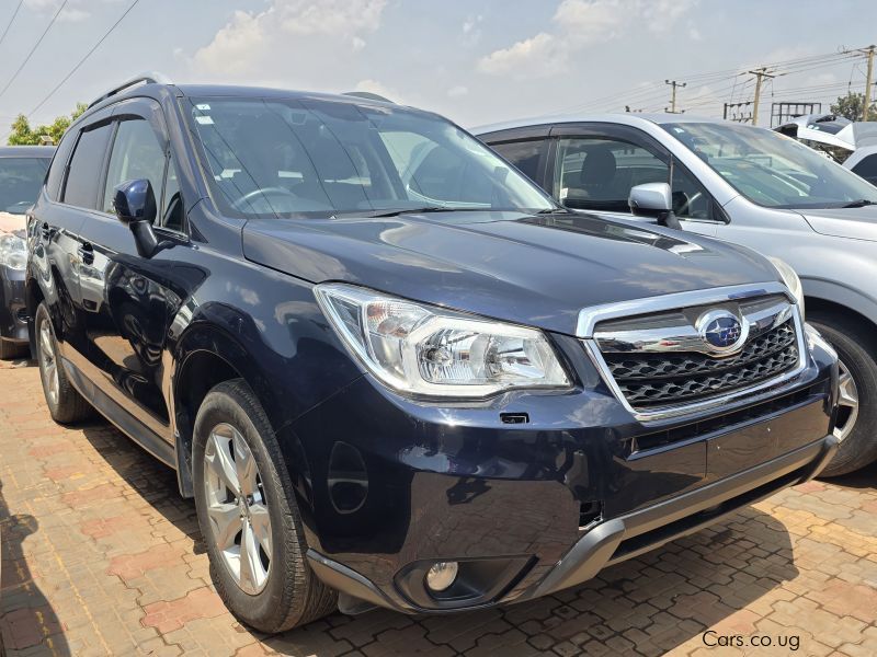 Subaru Forester in Uganda