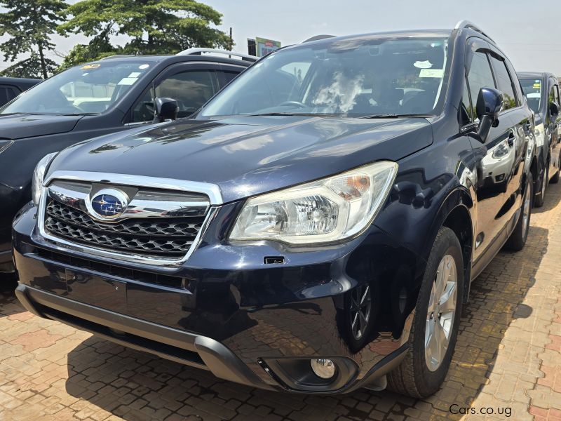 Subaru Forester in Uganda