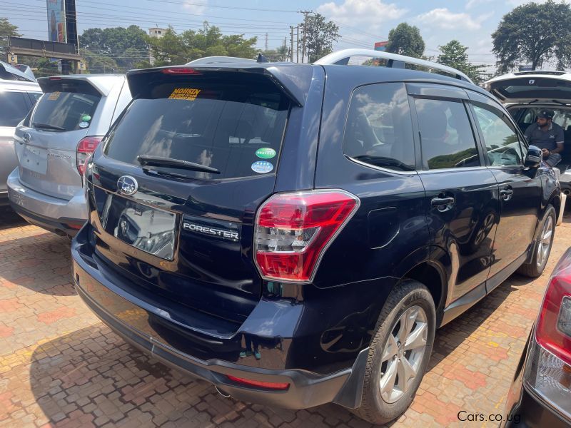 Subaru forester in Uganda