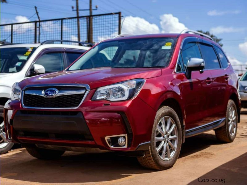 Subaru Forester XT in Uganda