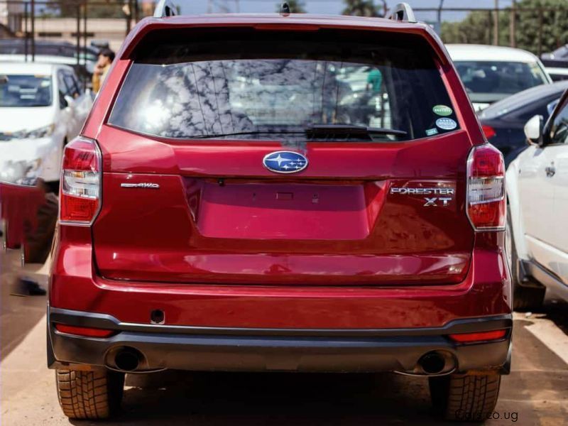 Subaru Forester XT in Uganda