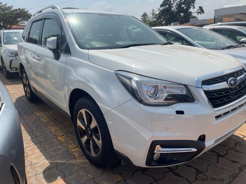 Subaru Forester in Uganda