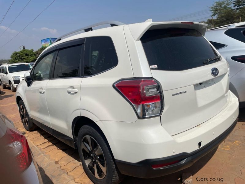 Subaru Forester in Uganda