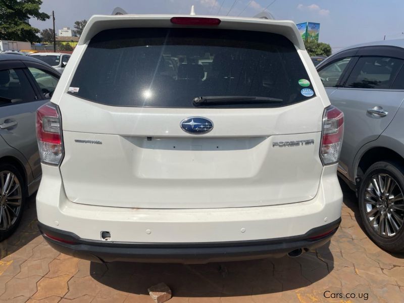 Subaru Forester in Uganda