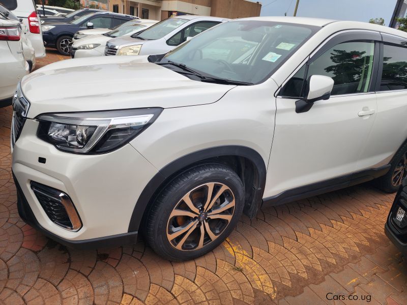 Subaru Forester in Uganda